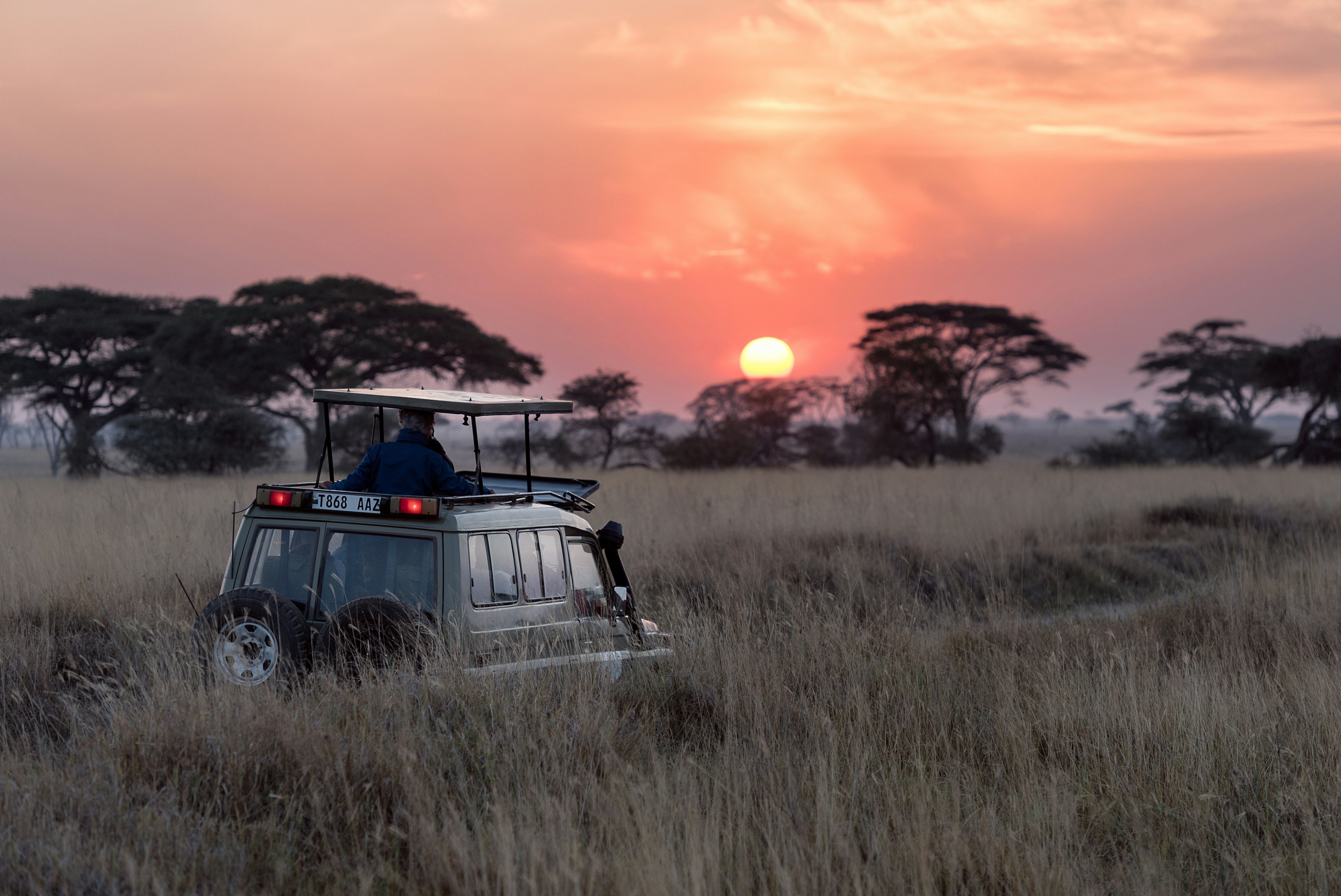 Tailored Safari Experience