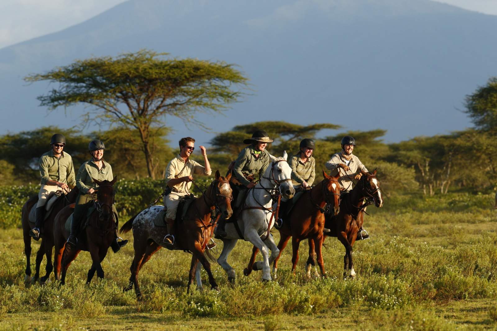 Horse Safari